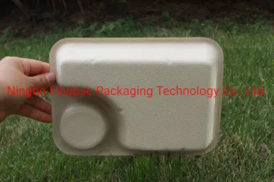 Compostable Disposable Rectangle Wedding Plates Biodegradable Sugarcane Bagasse Equipment Manufacture Disposable Tableware Food Tray