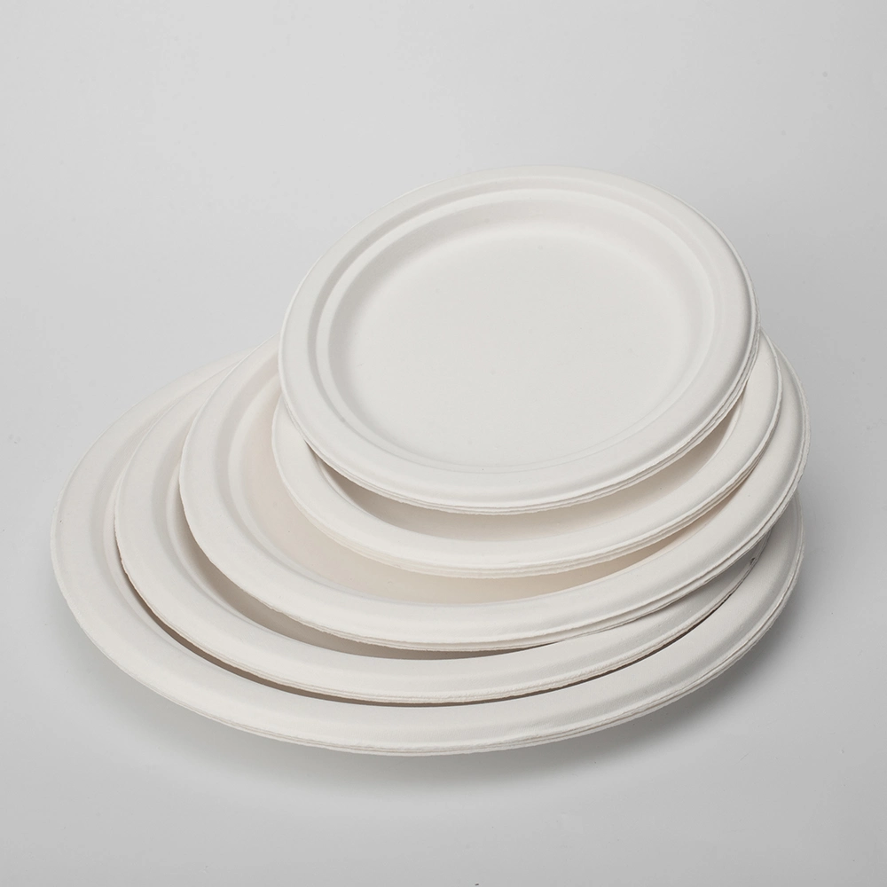 8.75 Inch Disposable Plates Bagasse Food Holder Food Standard Tableware