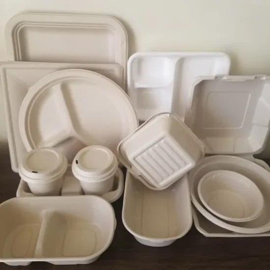 Bagasse Tableware Biodegradable Food Container Sugarcane Lunch Box Salad Bowl Sushi Tray Plate Take Away Food Packaging