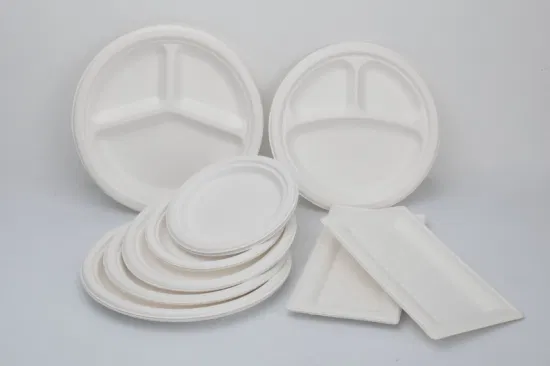 8.75 Inch Disposable Plates Bagasse Food Holder Food Standard Tableware